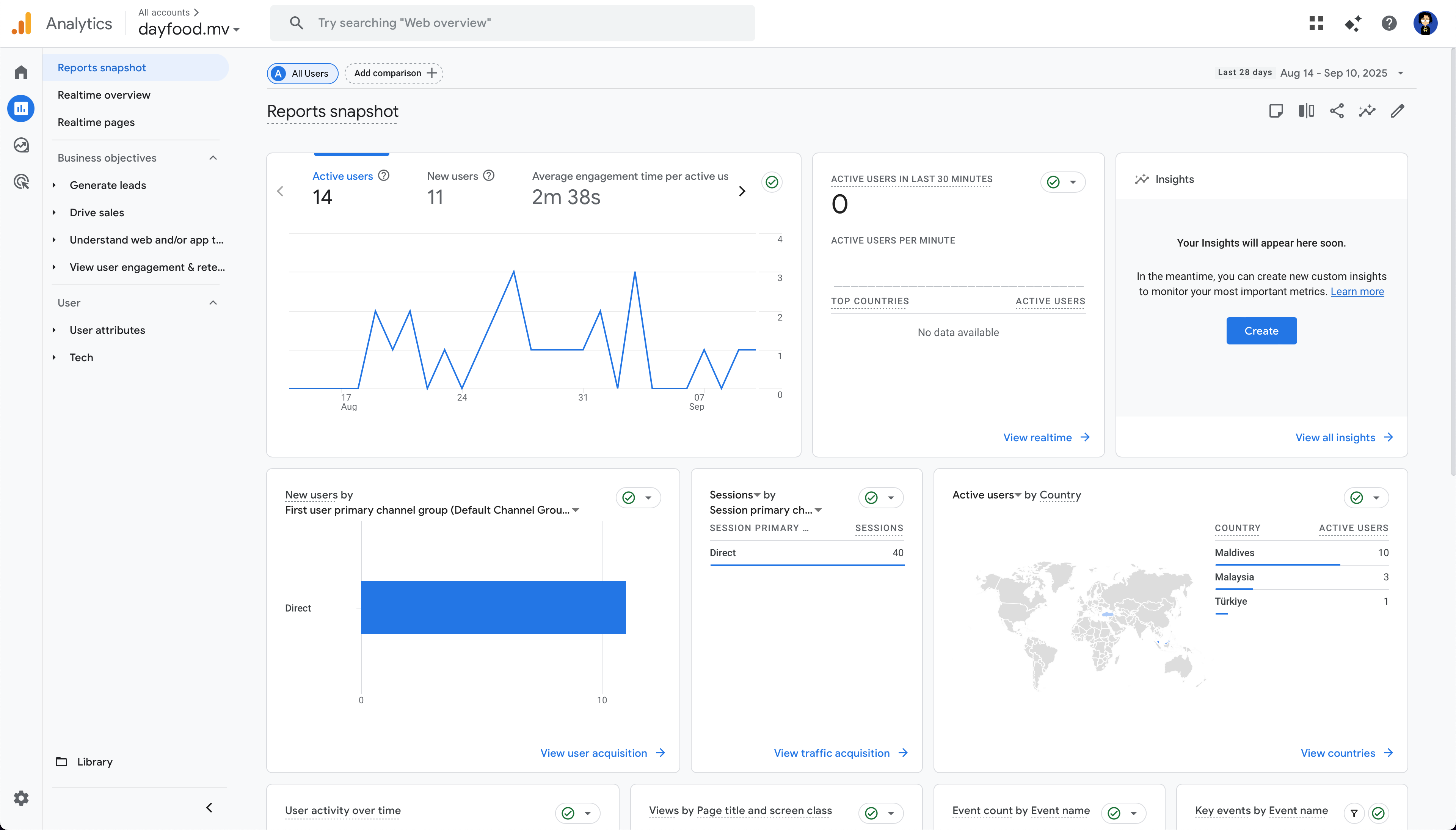 Google Analytics Snapshot
